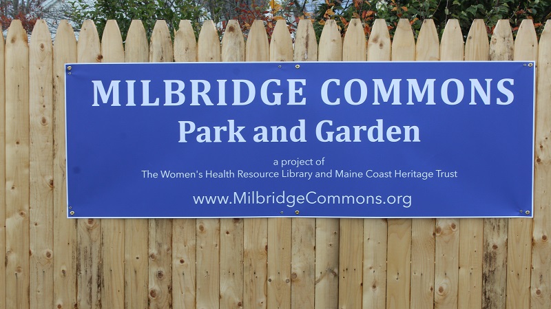 Milbridge Commons Park & Garden Opening Day!