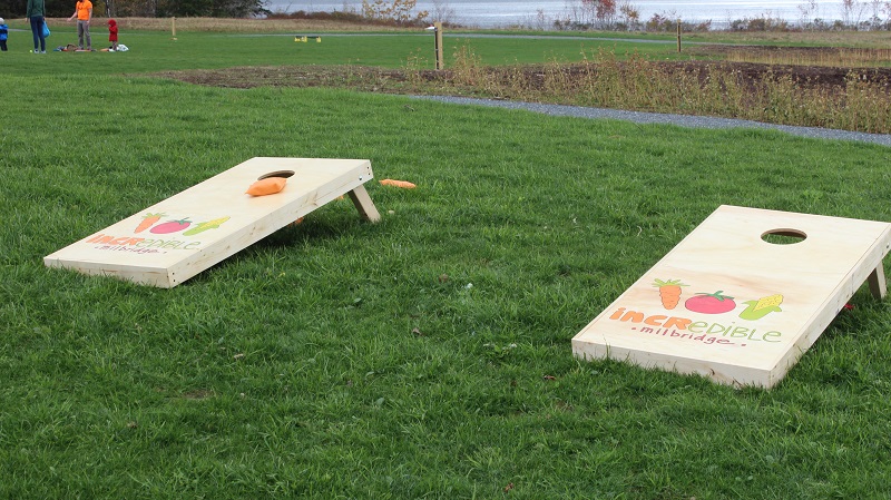 DIY Cornhole Board Game (FREE PLANS)