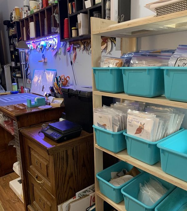 Susan’s Storage Bin Shelves (FREE PLANS!)