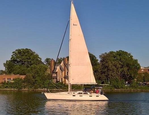 black dog sailboat